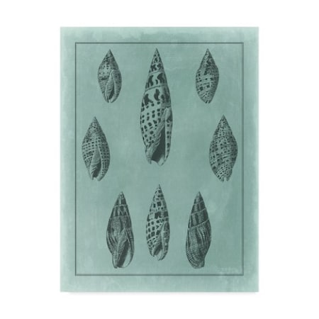 Vision Studio 'Spa Shell Collection Iv' Canvas Art,14x19
